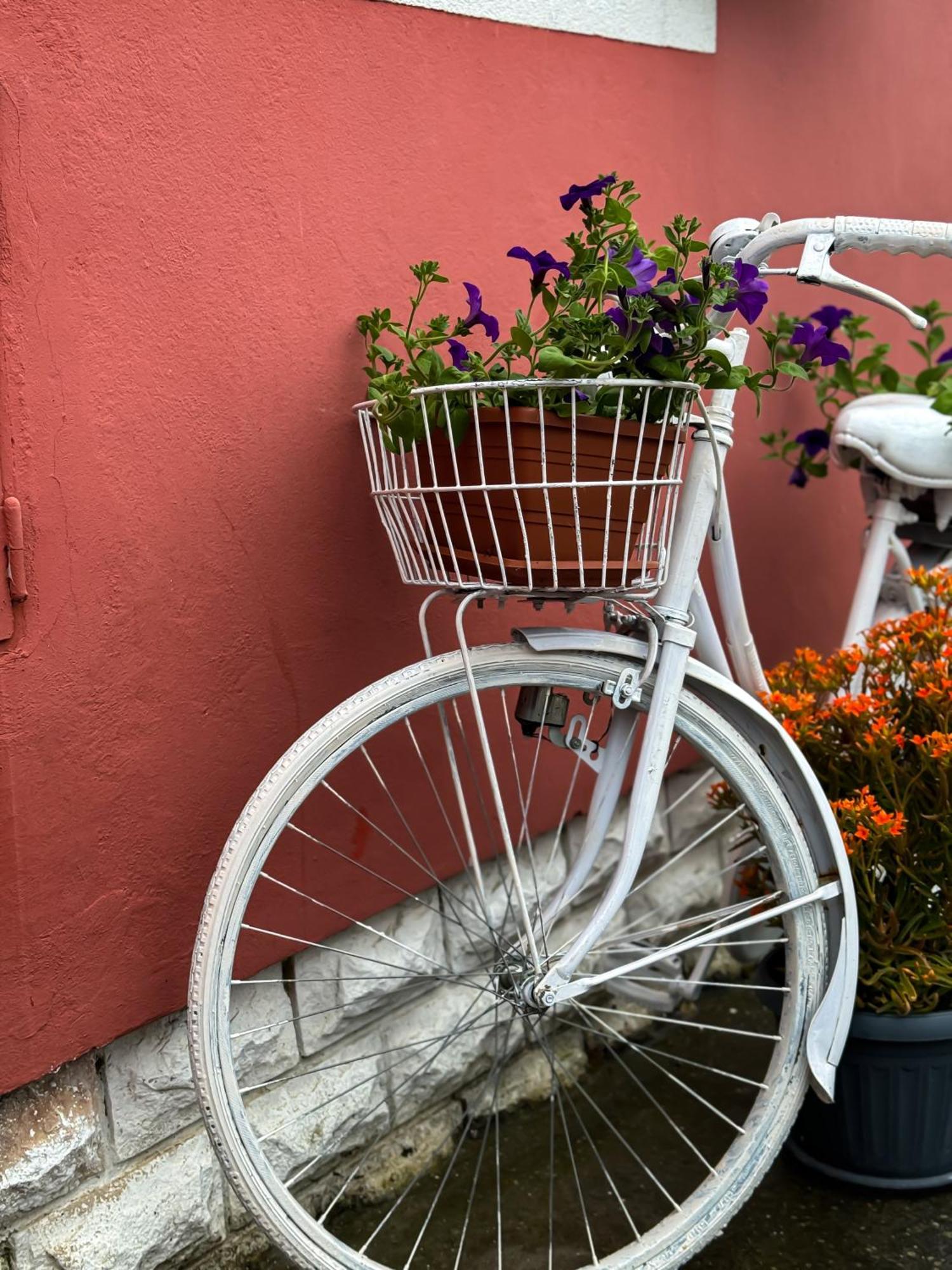 Vili Apartment Rovinj
